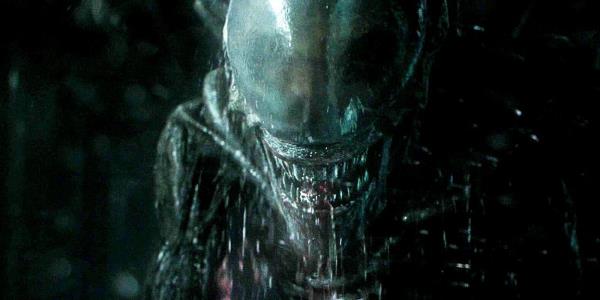A Xenomorph bearing its teeth in Alien: Covenant.
