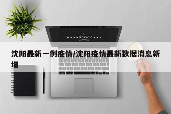 沈阳最新一例疫情/沈阳疫情最新数据消息新增